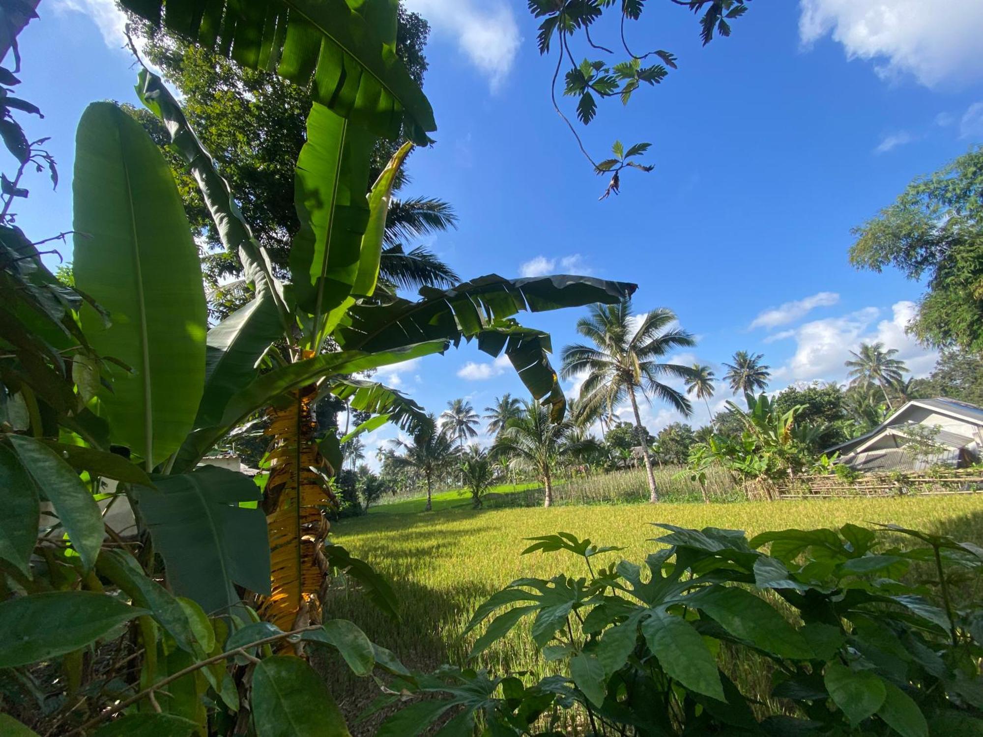 Pondok Rinjani Bungalow เตเตบาตู ภายนอก รูปภาพ